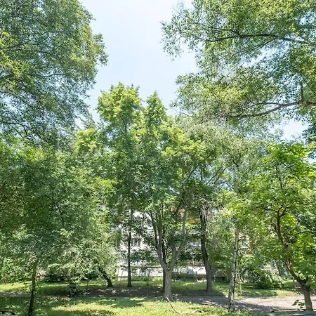 Location, Brand New 3 Bdrm & Free Parking * Sofia