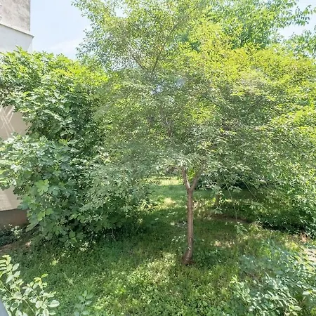 Apartamento Location, Brand New 3 Bdrm & Free Parking *